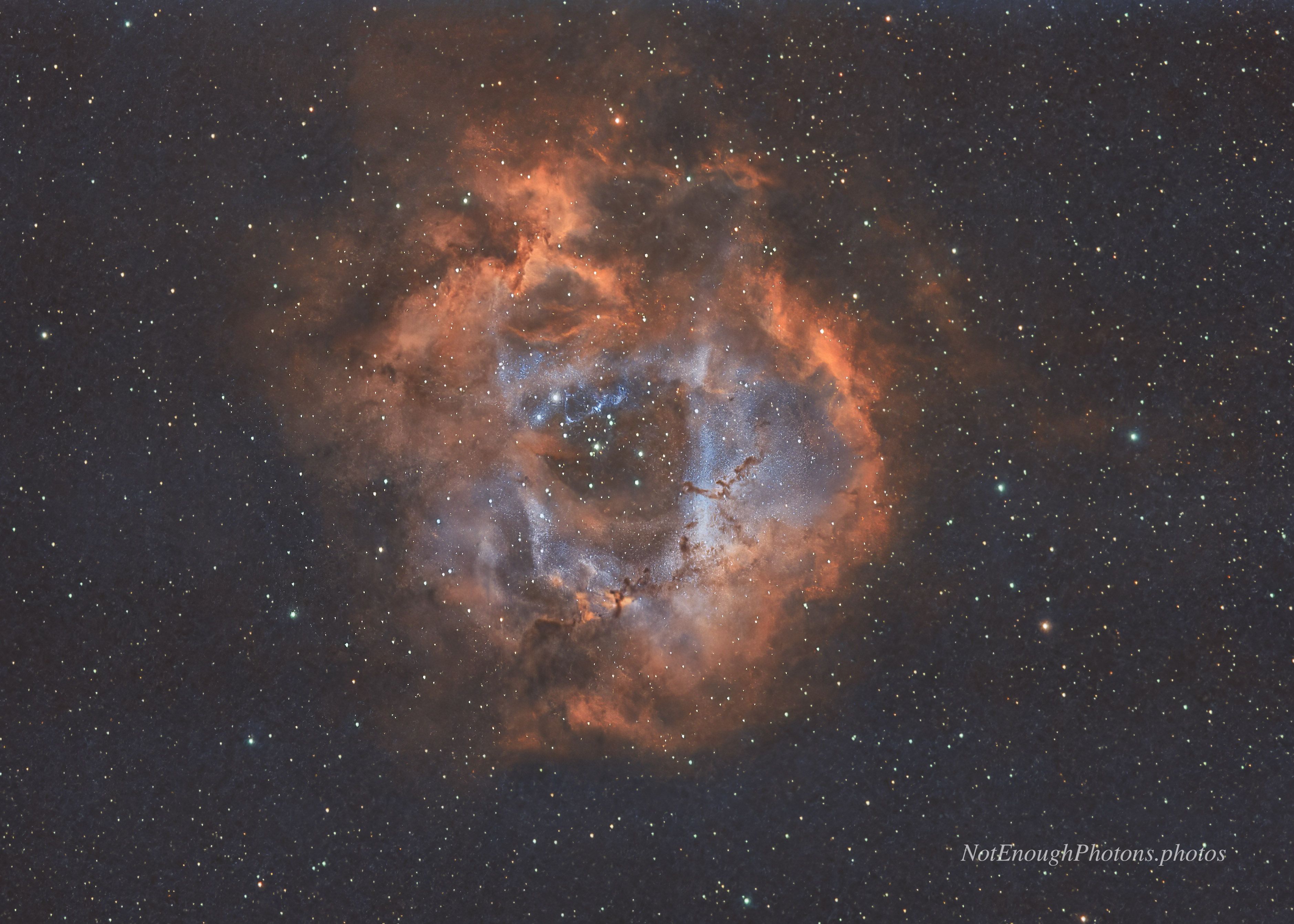 2026 Rosette Nebula image